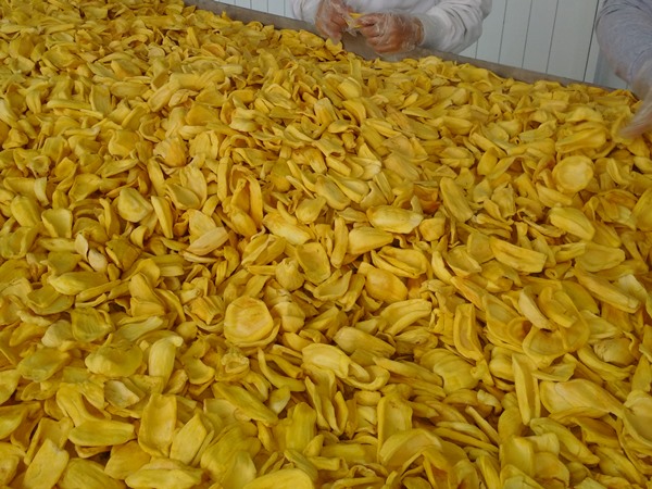 Jackfruit chips, loose