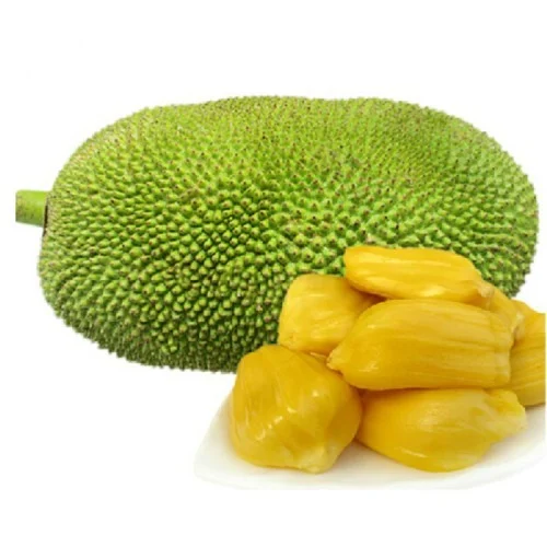 Jackfruit, the source fruit